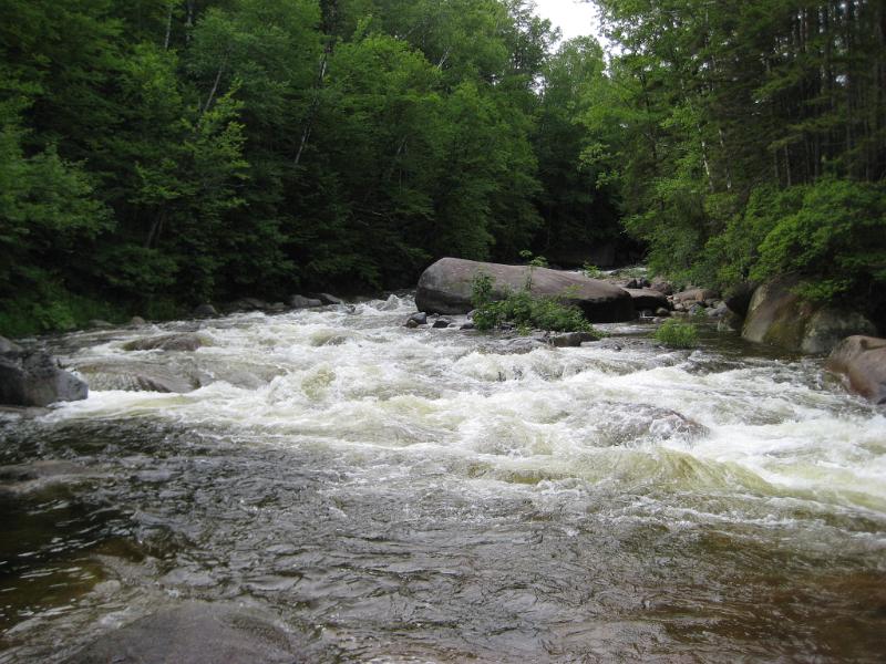 PemiHike-D (10).JPG - This time of year people are swimming and tubing in the river. Definitely won't happen until the water recedes.